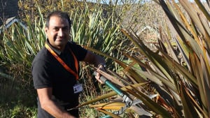 Meet Bluebell Wood's gardener, Tahir