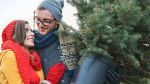 Eco-friendly Christmas tree recycling scheme returns after raising £20,000 in first year